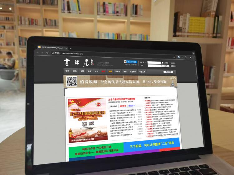 书法网站流量突围：妙招何在？同行经验大揭秘！